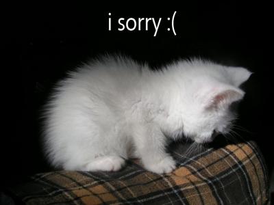I'm sorry =(